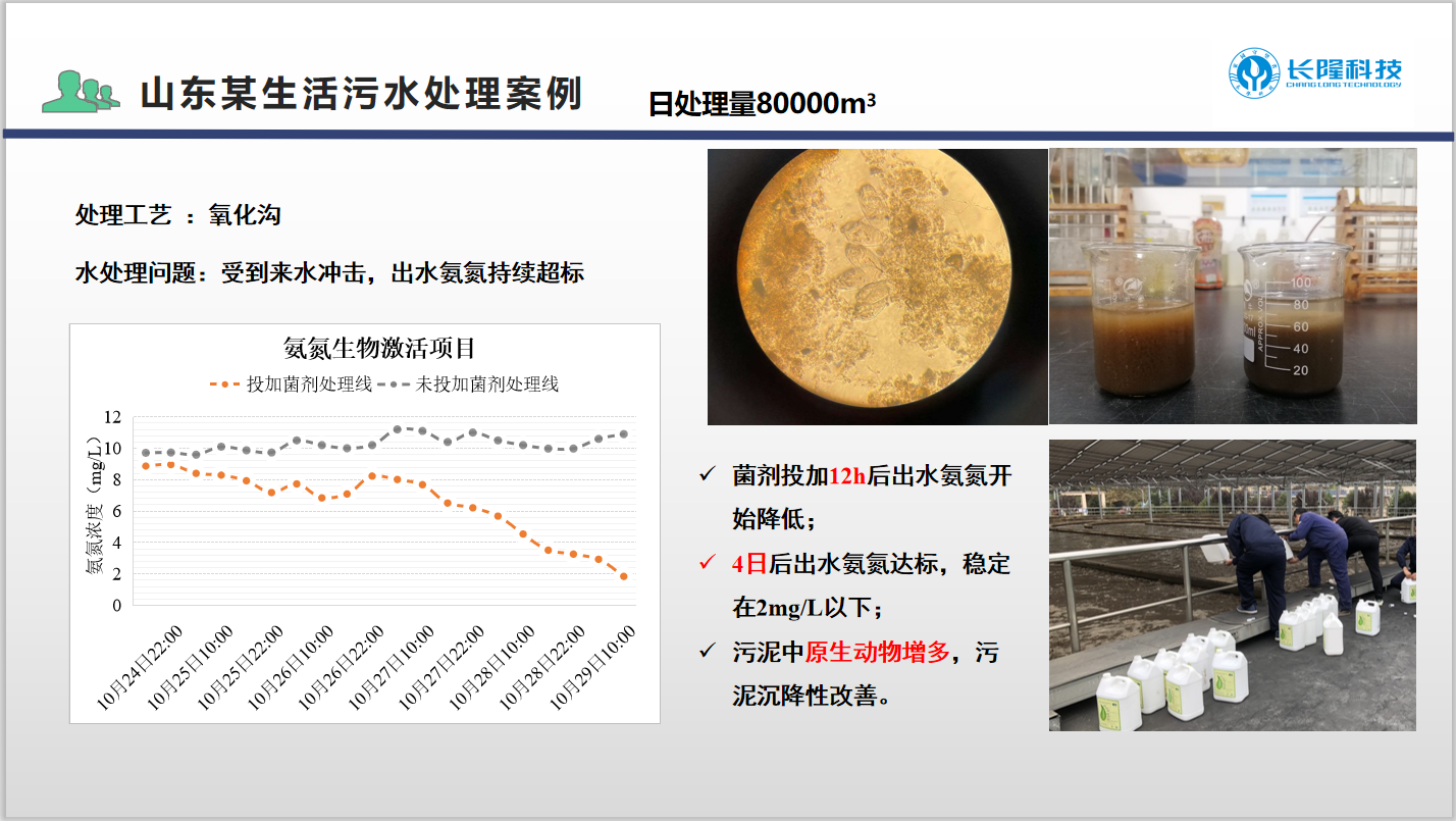 北方低温氨氮菌生活污水应用案例1